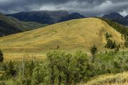 Pass Creek Road. Photo by Dave Bell.