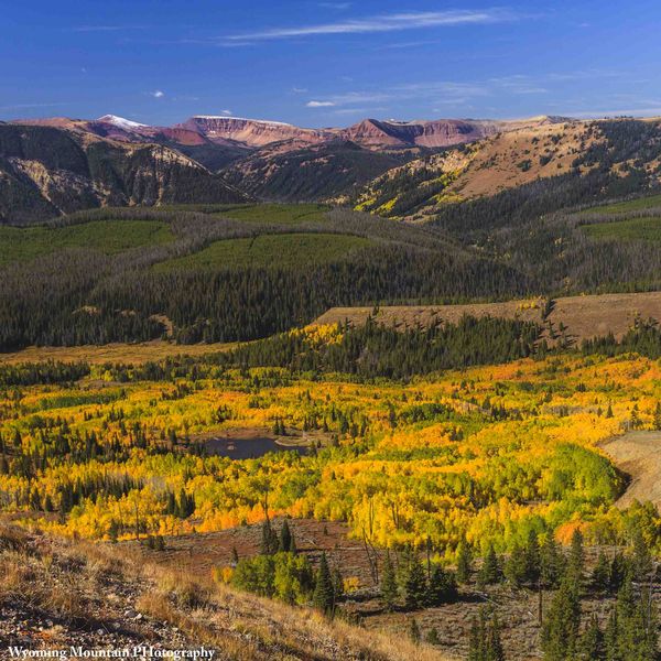 Wyoming Peak And Fall Colors. Photo by Dave Bell.