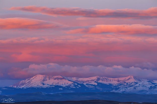 McDougall Color. Photo by Dave Bell.