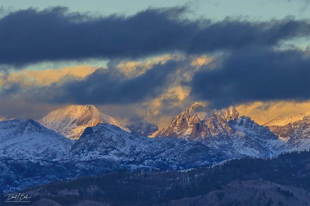Backlit 2. Photo by Dave Bell.