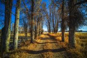 Peaceful Ranch Road. Photo by Dave Bell.