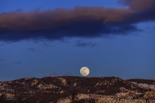 Cresting The Ridge. Photo by Dave Bell.