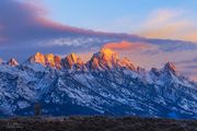 Teton Sunrise Color. Photo by Dave Bell.