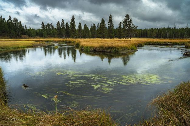 Beautiful Bend. Photo by Dave Bell.