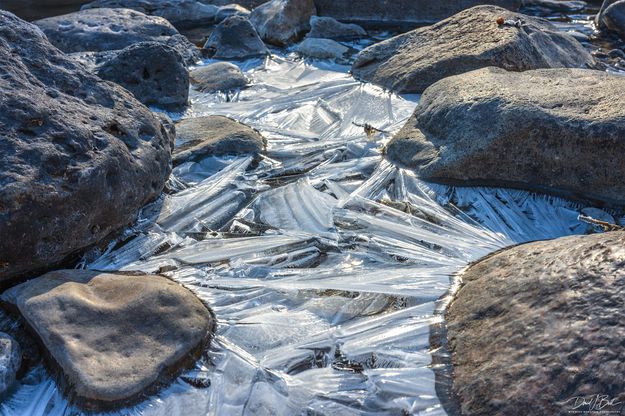 New Ice. Photo by Dave Bell.