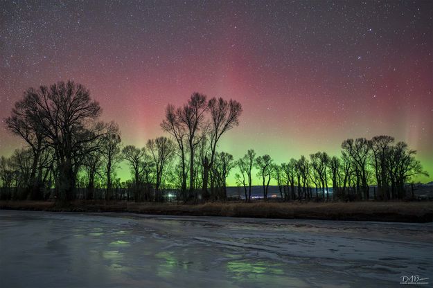 . Photo by Dave Bell.