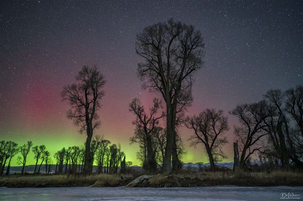 . Photo by Dave Bell.