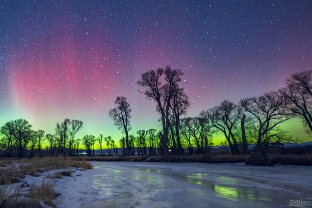 . Photo by Dave Bell.