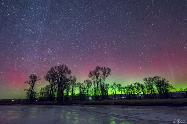 . Photo by Dave Bell.