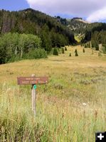 Sheep Creek trail