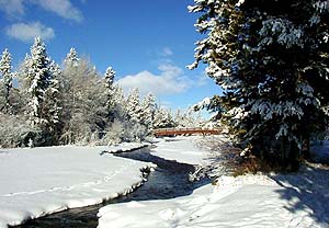 Harmony Bridge across Pine Creek in the Pinedale Town Park