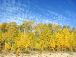 Near Black Butte and New Fork River