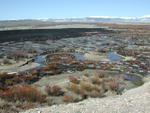 Pasture, willows, and grass quickly burned on South Cottonwood Creek