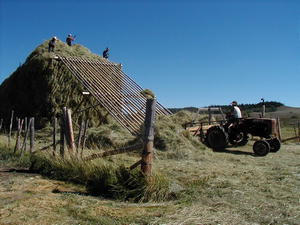 Haying the old way