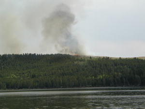 Fire reaches top of ridge