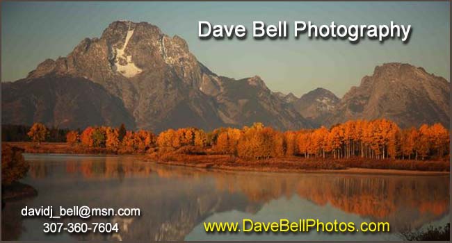 Dave Bell Photography
