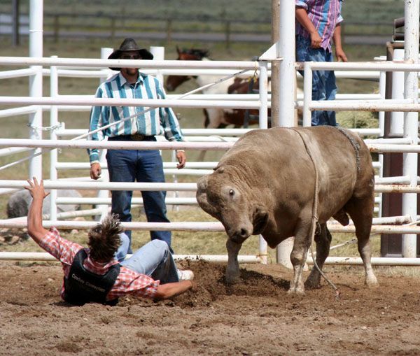 Bull Scramble Fall. Photo by Pinedale Online.