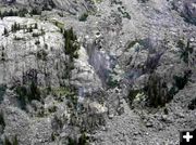 Tourist Creek Fire. Photo by USFS .