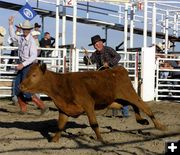 Ezra Brown calf roping. Photo by Dawn Ballou, Pinedale Online.