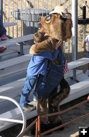Horse Hug. Photo by Dawn Ballou, Pinedale Online.