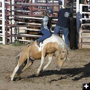 Jenny bronc ride. Photo by Dawn Ballou, Pinedale Online.