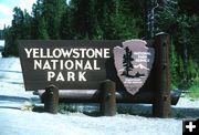 Yellowstone Park. Photo by NPS photo.