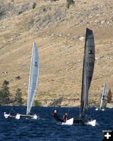 Racing Cats. Photo by Clint Gilchrist, Pinedale Online.