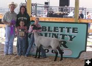 Grand Champion Sheep. Photo by Dawn Ballou, Pinedale Online.