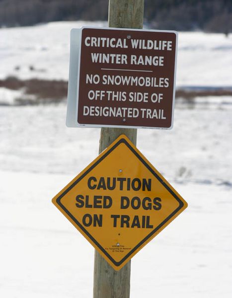 Sled Dogs on Trail Sign. Photo by Clint Gilchrist, Pinedale Online.