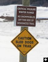 Sled Dogs on Trail Sign. Photo by Clint Gilchrist, Pinedale Online.