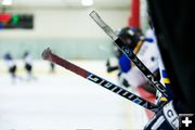 Hockey Sticks. Photo by Tara Bolgiano, Blushing Crow Photography.