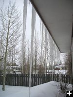 Long icicles. Photo by Dawn Ballou-Svalberg, Pinedale Online.