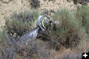 Plane wreckage at crash site. Photo by Sweetwater County Sheriff's Office.