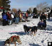 Junior Mushers. Photo by Dawn Ballou, Pinedale Online.