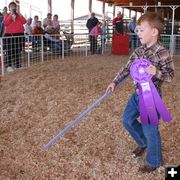 Pee Wee Showmanship. Photo by Clint Gilchrist, Pinedale Online.