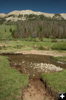 Stream crossing. Photo by Dawn Ballou, Pinedale Online.