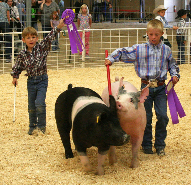 Pee Wee Showmanship. Photo by Pinedale Online.