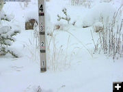 Snow in Bondurant. Photo by Bondurant webcam.