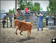 Emry Chute Roping. Photo by Terry Allen.