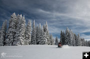Snow Pilot. Photo by Arnold Brokling.