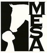 MESA. Photo by MESA Therapeutic Horsemanship.