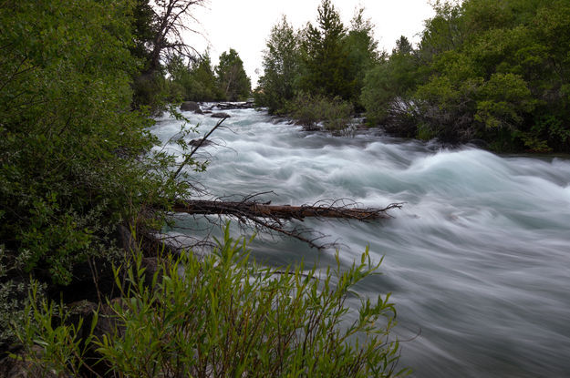 Pine Creek roaring. Photo by Arnold Brokling.