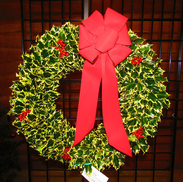 Holly Wreath. Photo by Dawn Ballou, Pinedale Online.