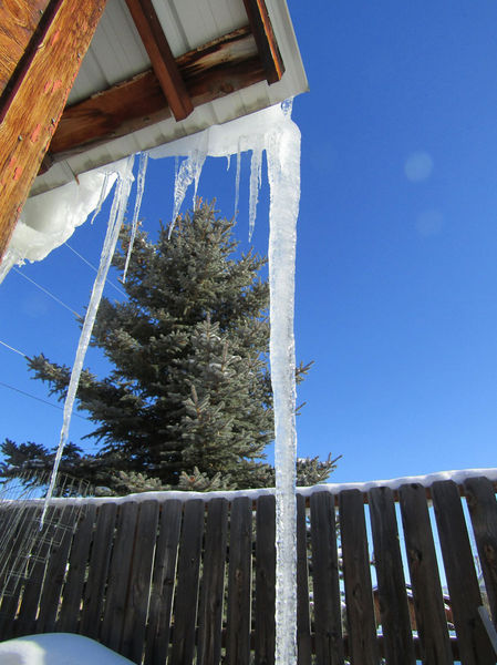 Icicle top. Photo by Dawn Ballou, Pinedale Online.