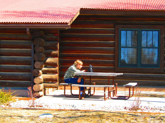 Studying. Photo by Dawn Ballou, ,Pinedale Online.