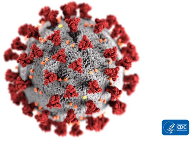 COVID-19 virus. Photo by CDC.