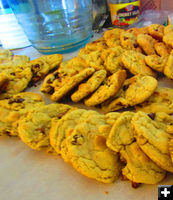Baking cookies. Photo by Dawn Ballou, Pinedale Online.