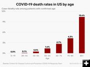 COVID deaths by age. Photo by .