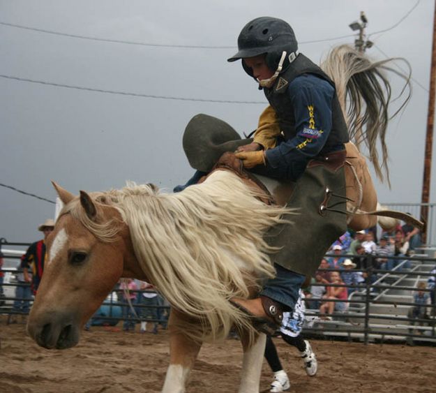 2007 Lil Buckaroo Rodeo. Photo by Pinedale Online.