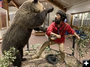 Grizzly Bear attack on Hugh Glass. Photo by Dawn Ballou, Pinedale Online.